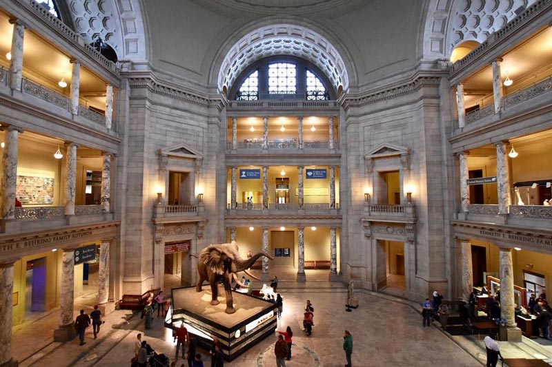 Bangunan dan Museum Penting yang Ada di Washington DC